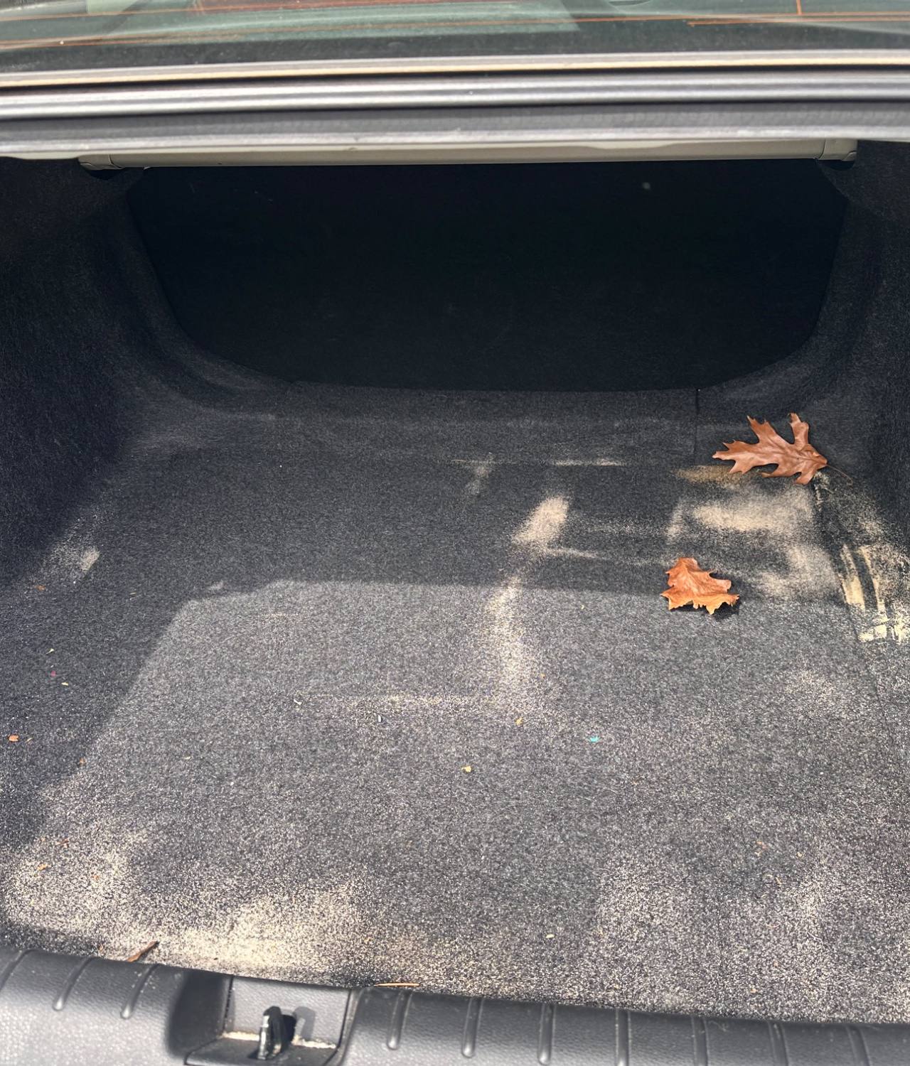 Honda Civic BEFORE trunk detail by Detail Jockey — dusty trunk carpet, sand and fallen dry leaves, NJ⁠